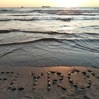 Flyrov