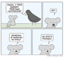 20590BA0-7059-4AF7-B79E-B7B1301C37F9.jpeg
