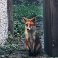 ���������� #2340632