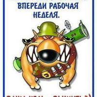 ���������� #2340648