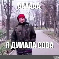 1000013033.jpg