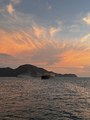 IMG_0229.jpeg