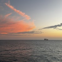 IMG_0230.jpeg