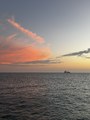 IMG_0230.jpeg