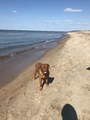 IMG_5264.jpeg
