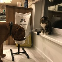 IMG_2065.jpeg