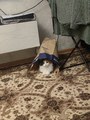 IMG_20260824_010300_758.jpg