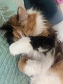 IMG_20260824_010518_562.jpg