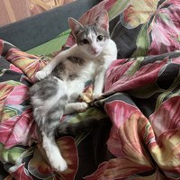 IMG_0058.jpeg