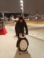 IMG_20260110_205605998.jpg