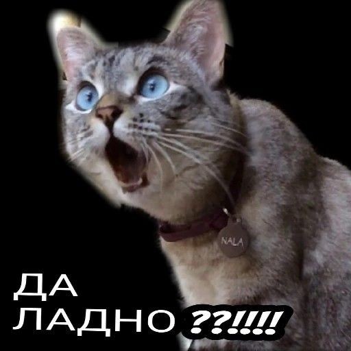 dfdf2d24cc492c11437c65c1fcb610b9.jpg
