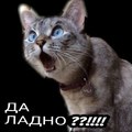 dfdf2d24cc492c11437c65c1fcb610b9.jpg