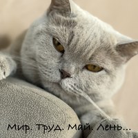 ������