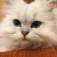 ����