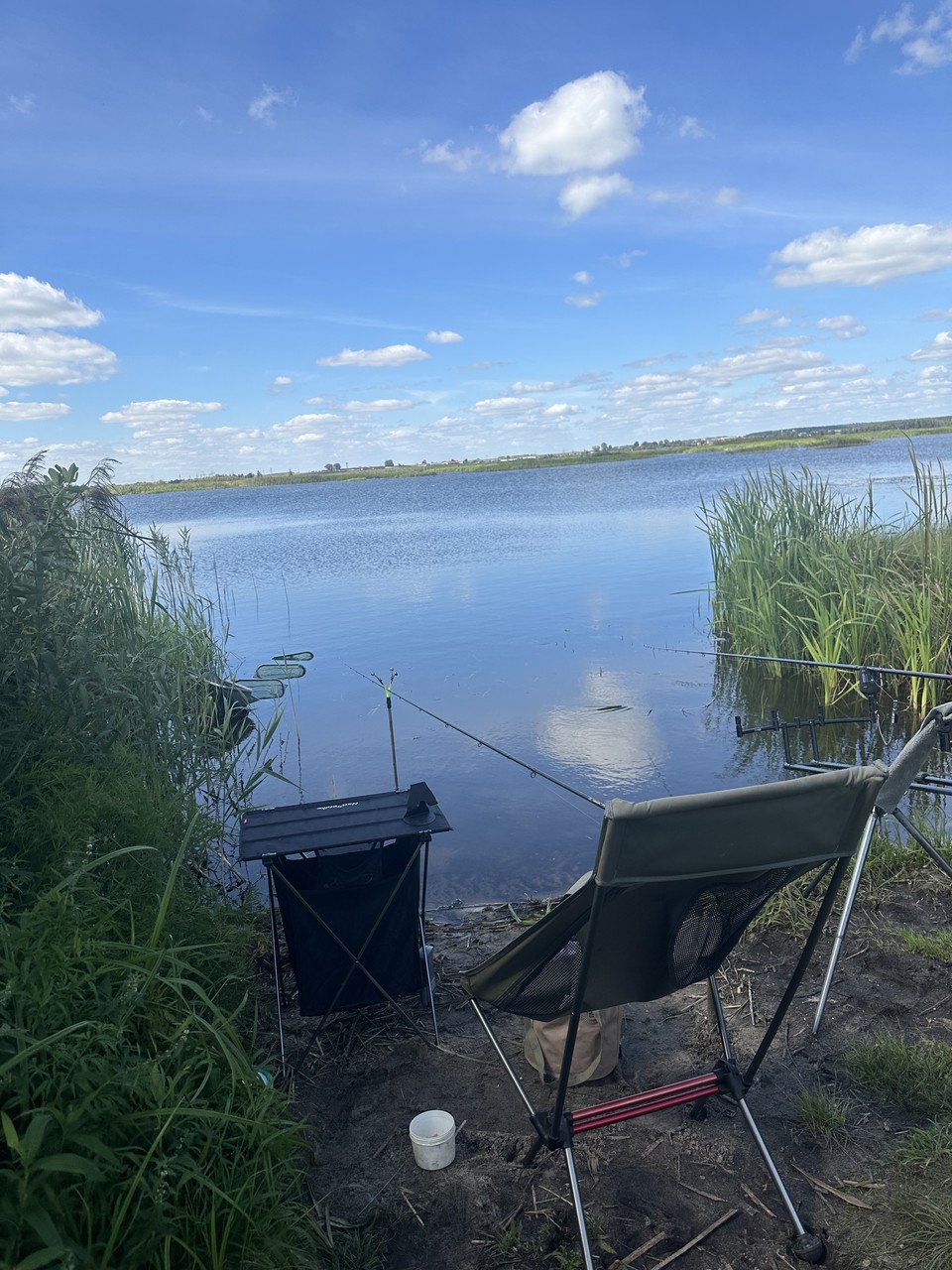 IMG_2115.jpeg