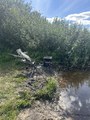 IMG_2114.jpeg