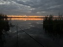 IMG_2109.jpeg