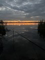 IMG_2108.jpeg