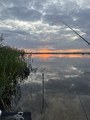 IMG_2107.jpeg