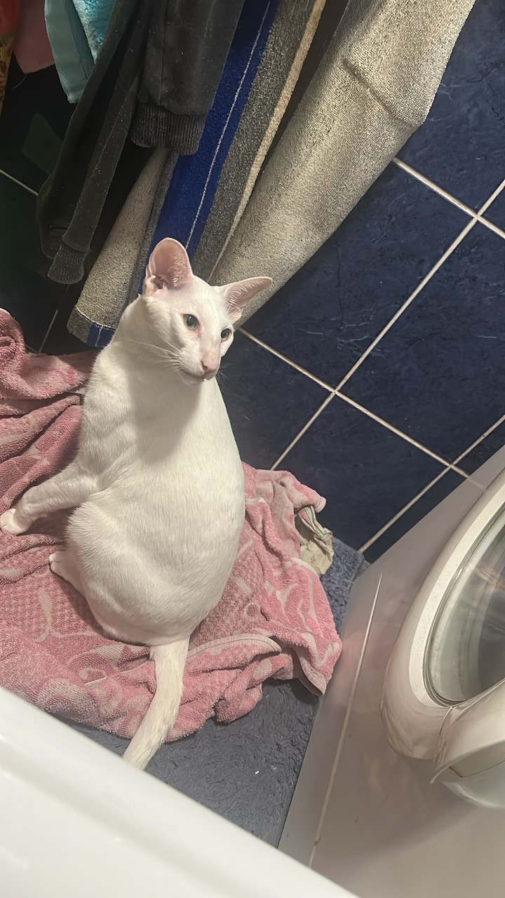 IMG_2102.jpeg