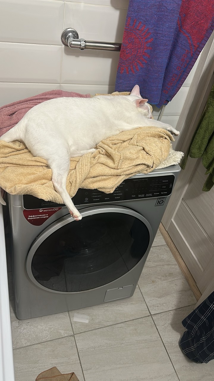 IMG_2019.jpeg