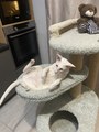 IMG_9412.jpeg
