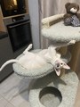IMG_9404.jpeg