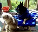 IMG_0365.jpeg