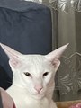 IMG_7863.jpeg