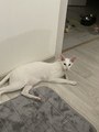 IMG_3704.jpeg