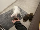 IMG_3699.jpeg