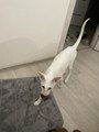 IMG_3695.jpeg