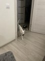 IMG_3694.jpeg