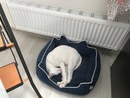 IMG_0357.jpeg