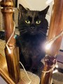 IMG_7950.jpeg