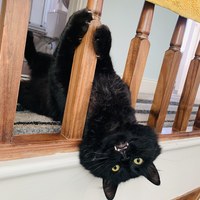IMG_6713.jpeg