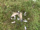 IMG_0505.jpeg