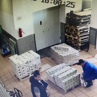 IMG_8339.jpeg