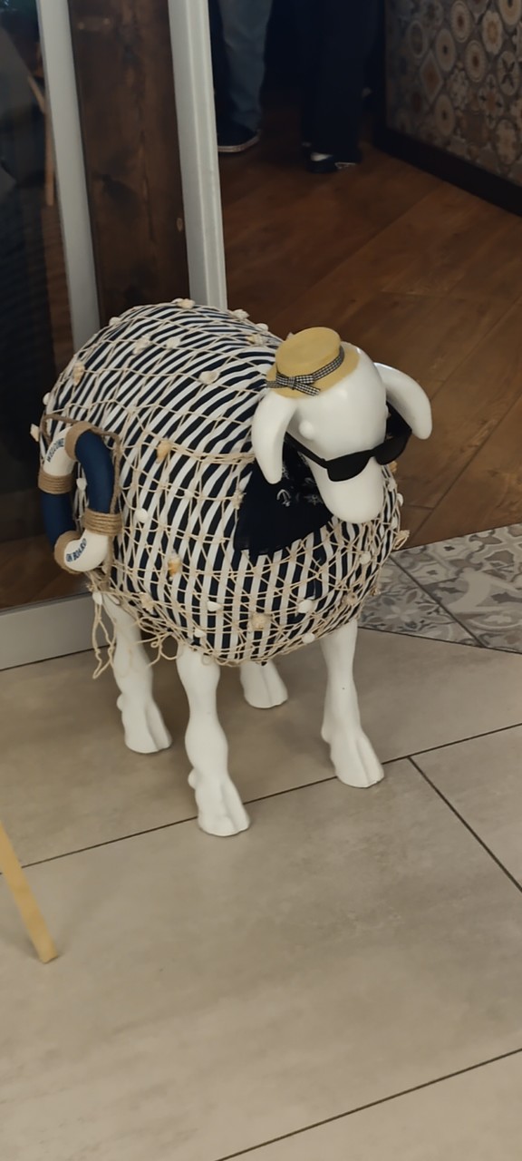 1000011623.jpg