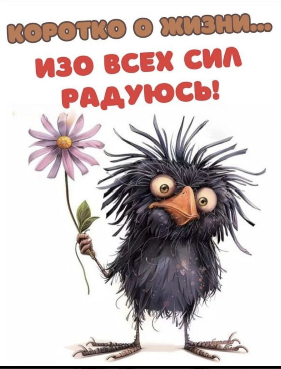 ���������� #2340712