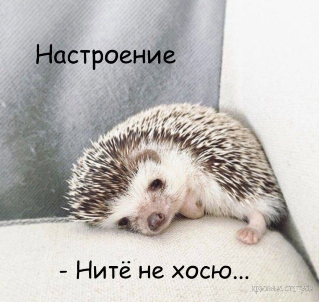 ���������� #2340742