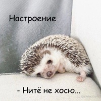 ���������� #2340742