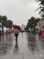 3796.jpg