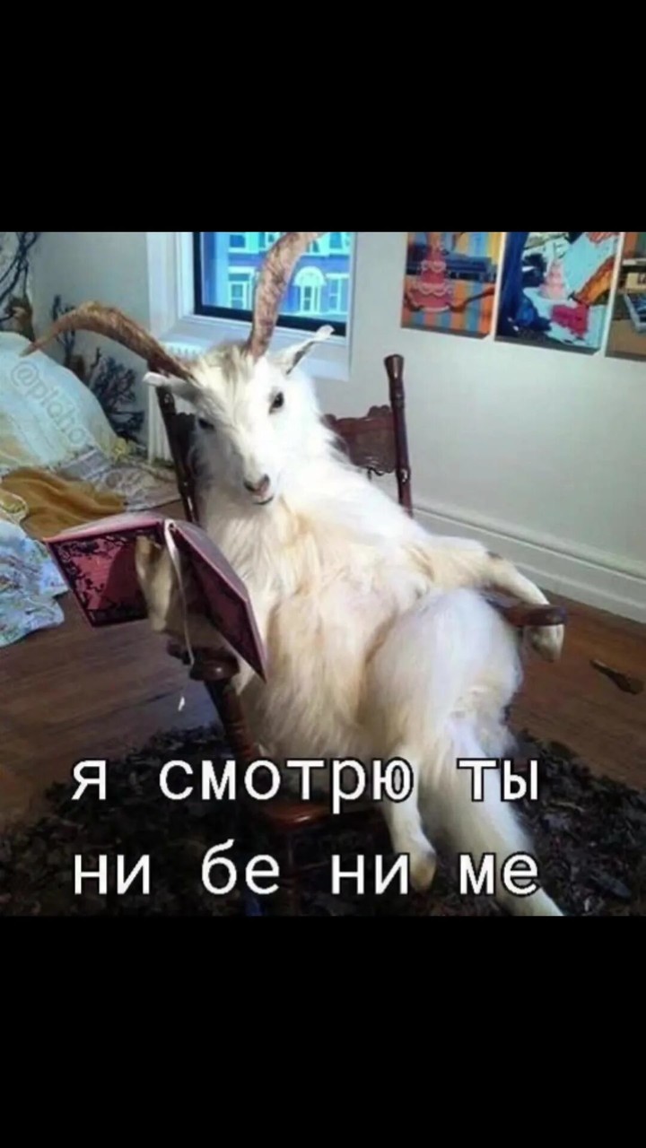 i (1).jpg