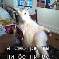 i (1).jpg