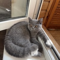 IMG_3850.jpeg