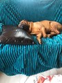 1000090272.jpg