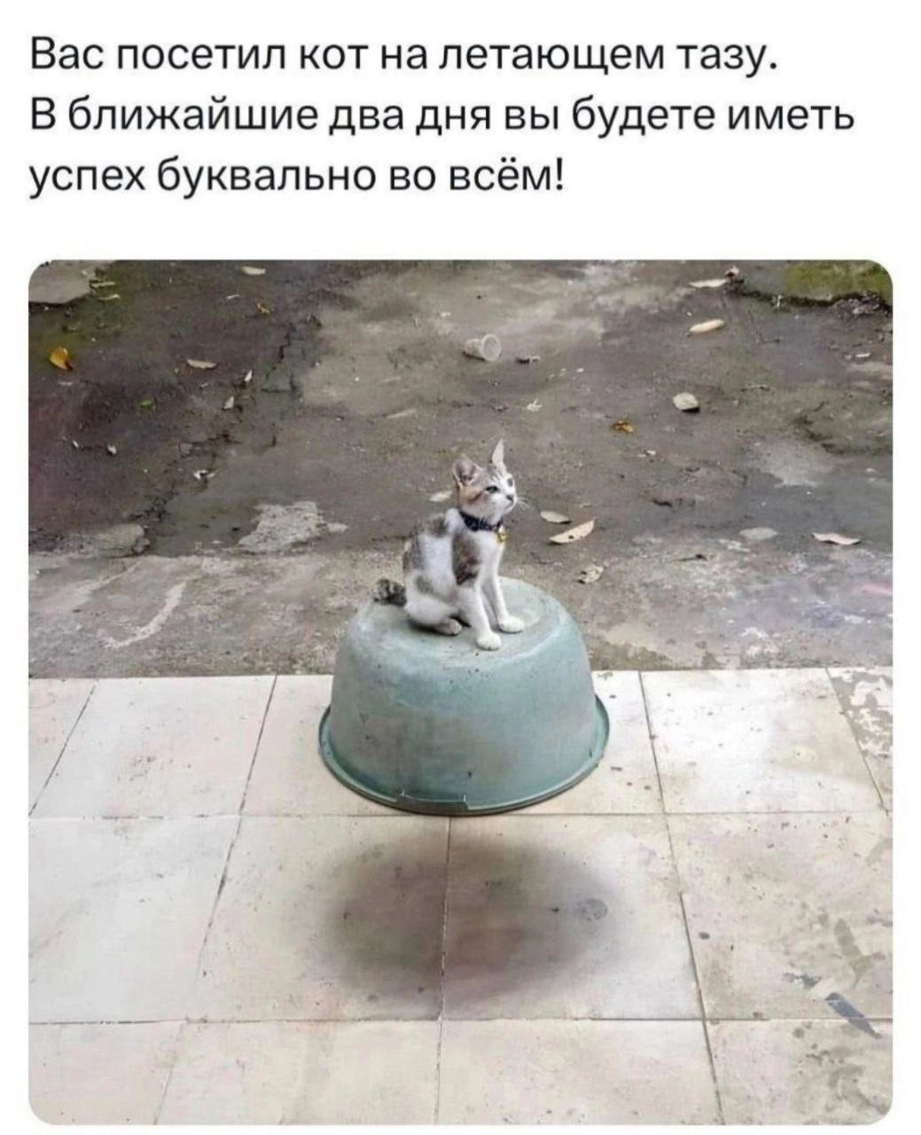 wc4p2su64fph1.jpeg