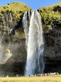 IMG_9064.jpeg