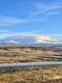 IMG_7830.jpeg